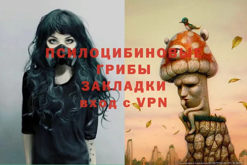 Псилоцибиновые грибы Magic Shrooms  купить наркотики цена  Гусиноозёрск 